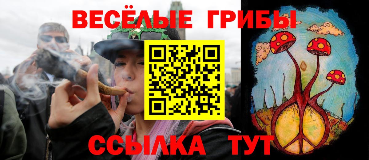 Галлюциногенные грибы Psilocybe  Вход с VPN  Среднеуральск  Псилоцибиновые грибы MAGIC MUSHROOMS 